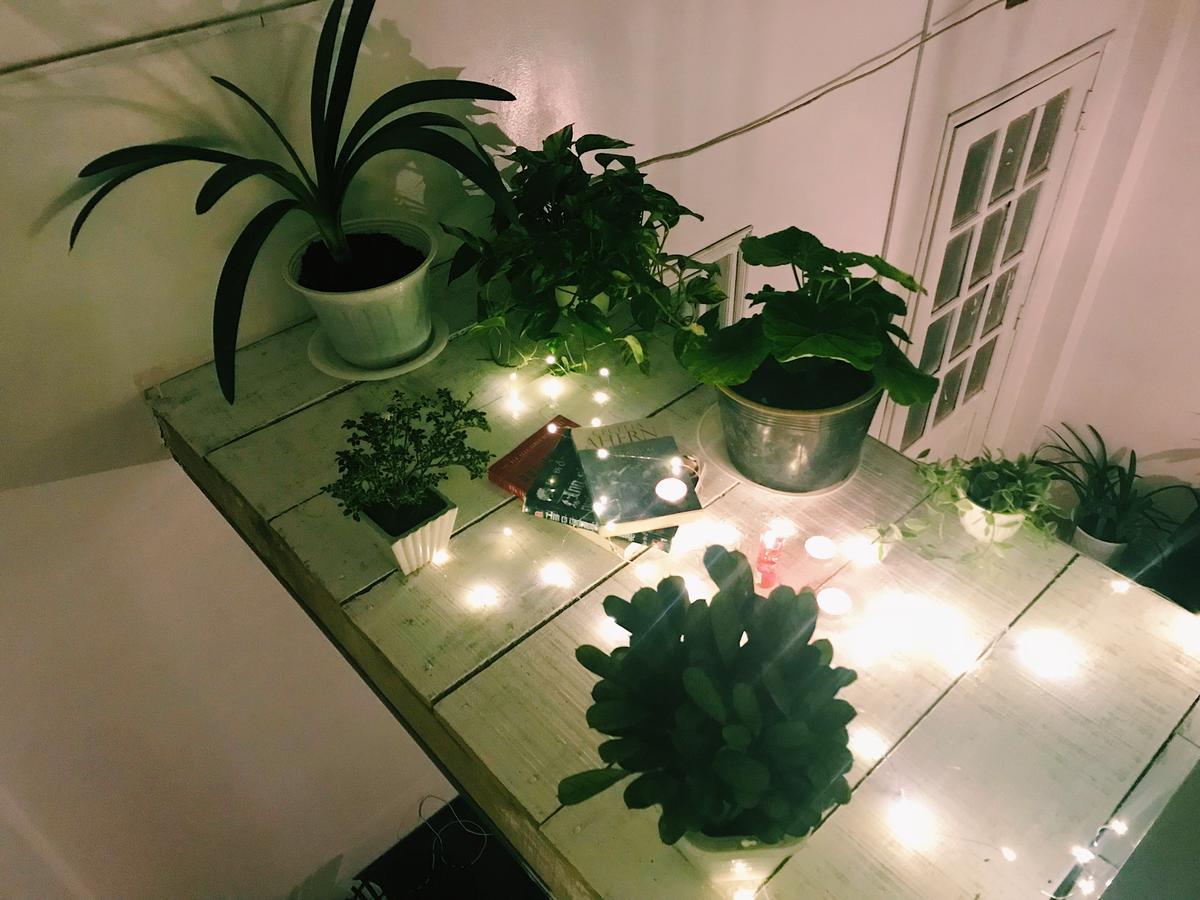 The Balcony Bnb ダラット エクステリア 写真